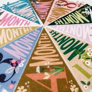Anthropologie Baby Milestone Pennants